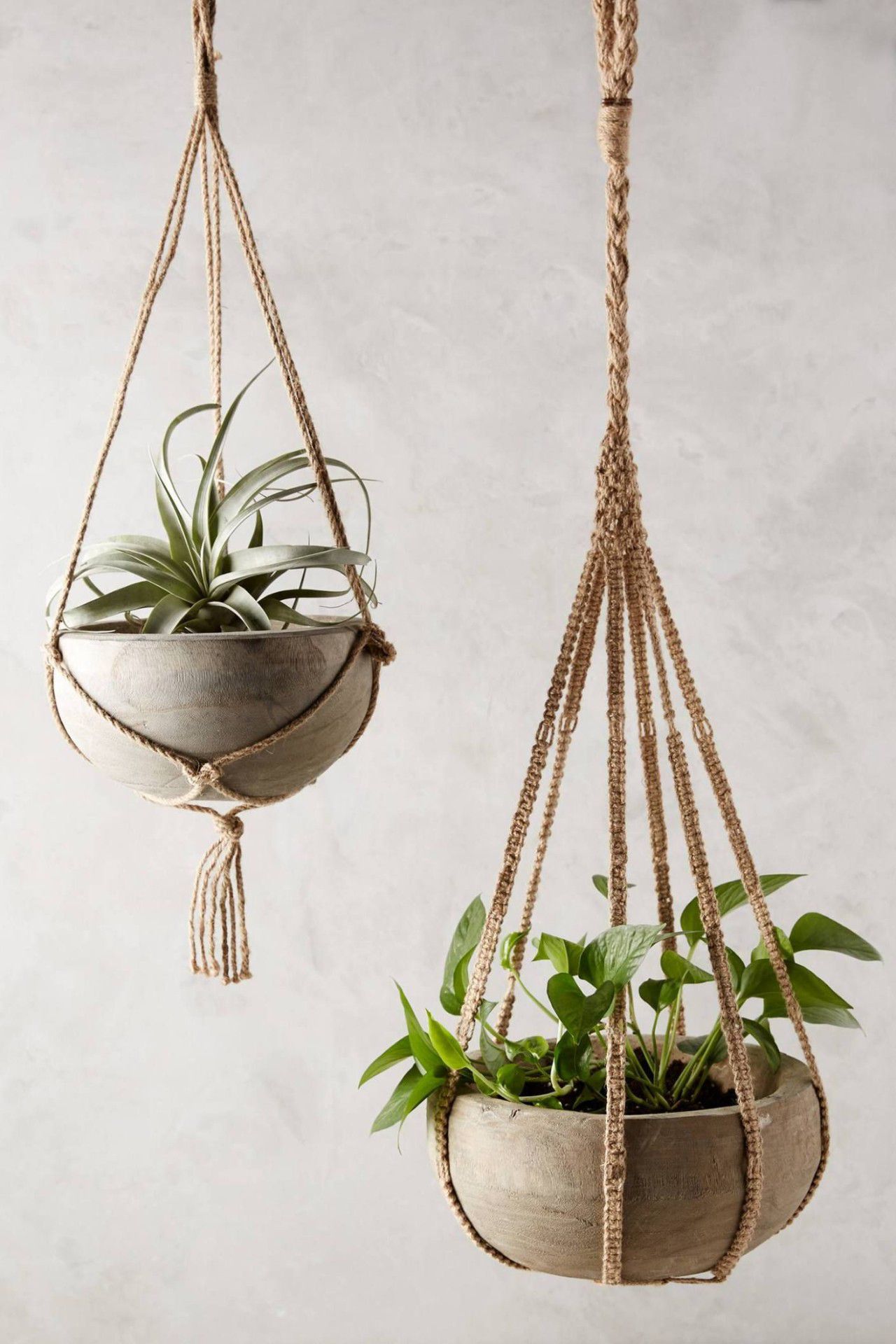 6种可以自己diy悬挂花盆,让家里变成一片精致的花园|凤梨|吊盆|花盆