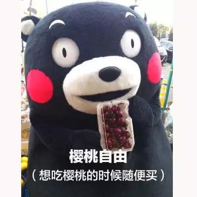 表情包我现在属于辣条自由想吃辣条的时候随便买