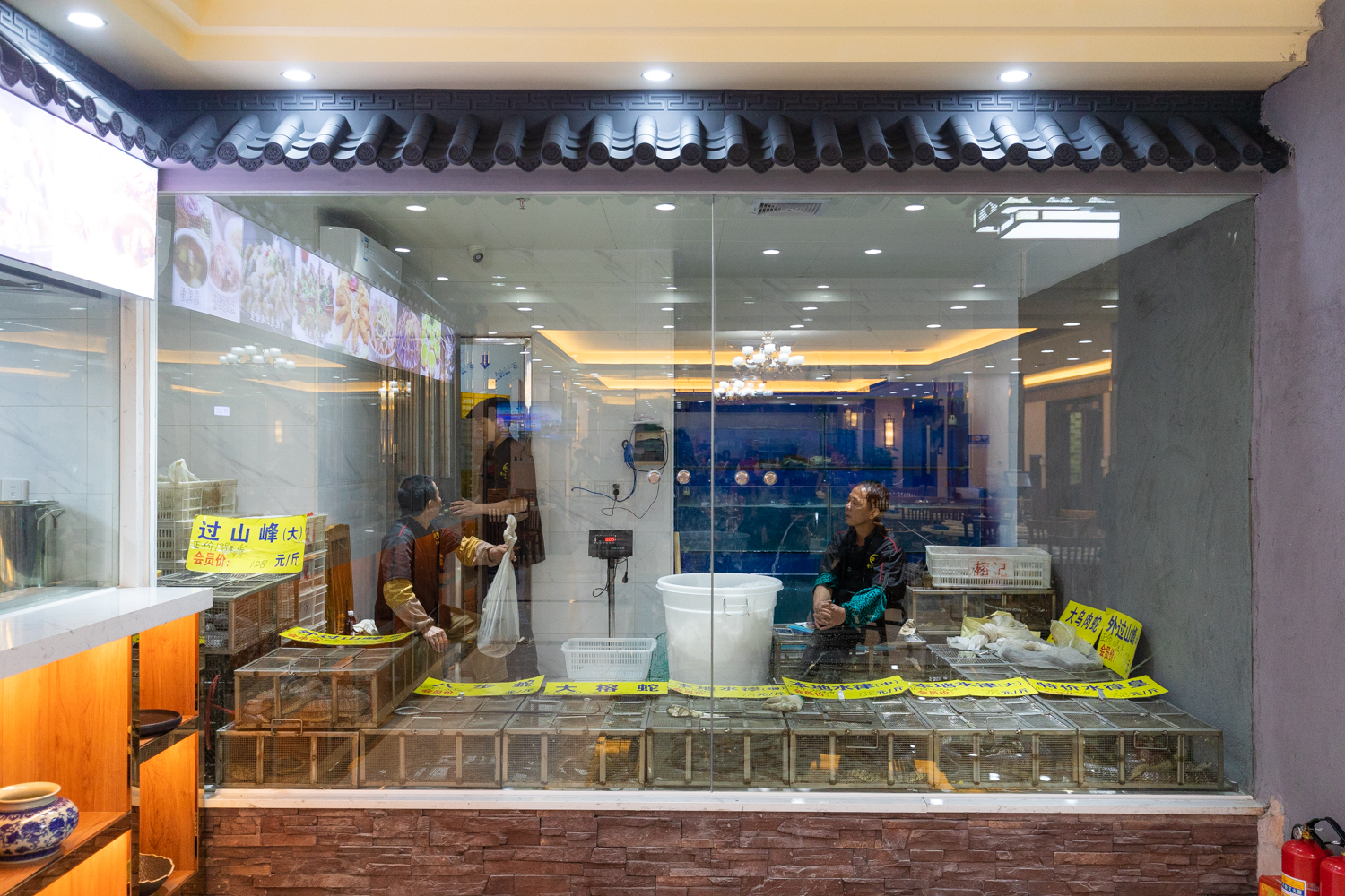 榕记番禺总店乔迁大吉!桃花林里上演流传三生三世的美味传奇!