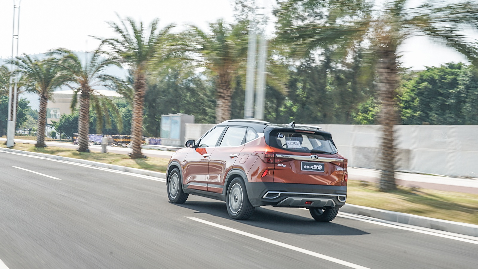 钟意她！2019年「萝卜报告」各位老湿心目中的年度车！