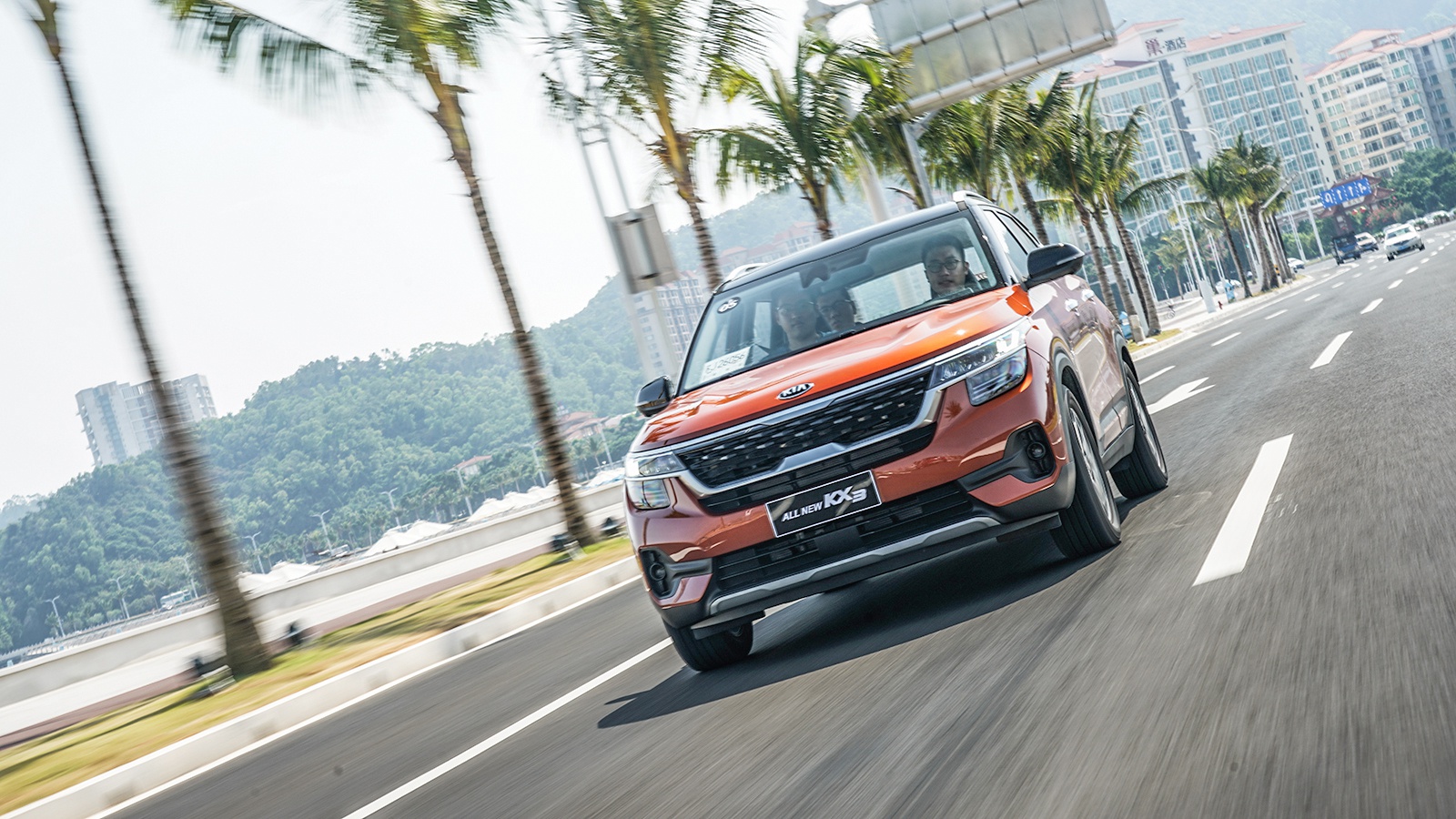 钟意她！2019年「萝卜报告」各位老湿心目中的年度车！