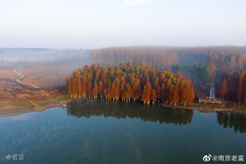 大片来袭,南京六合大泉湖最美秋色正在上演