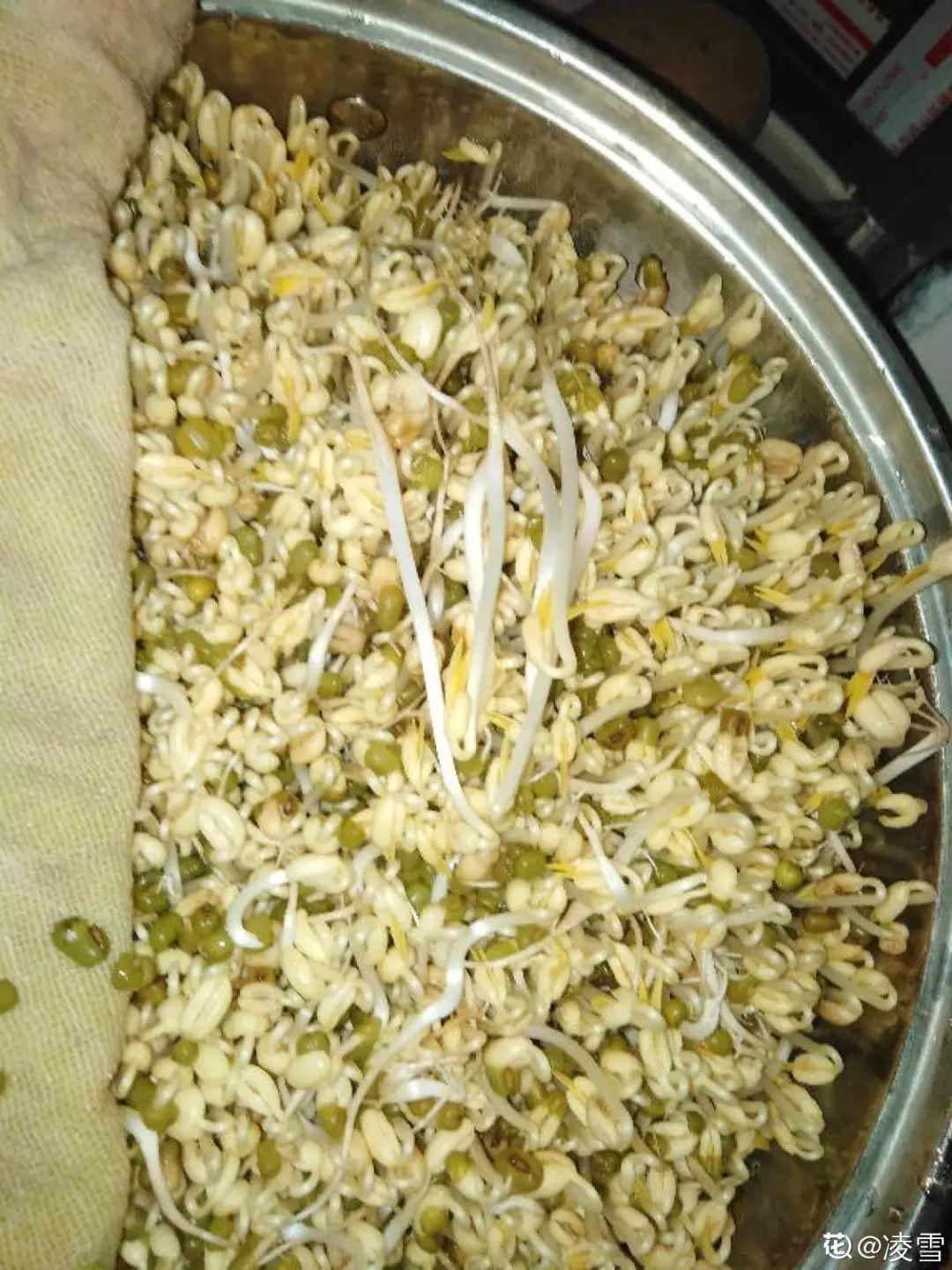 山药豆|水培|地瓜_新浪新闻