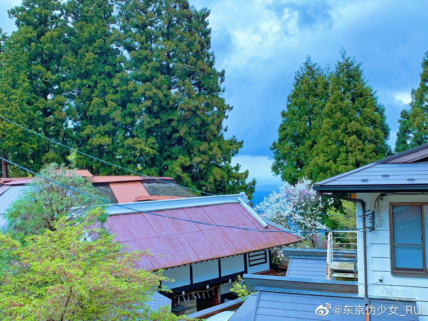 登山偶遇的美景东京近郊 御岳山