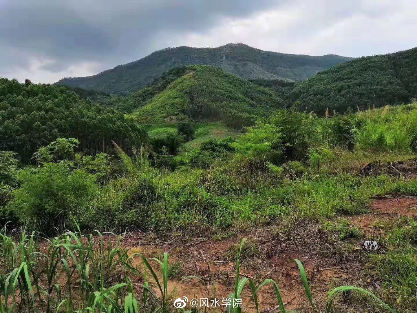 巽方來龍穴位左右有兩陰砂包入護六坎卦內自虎土形先入收局