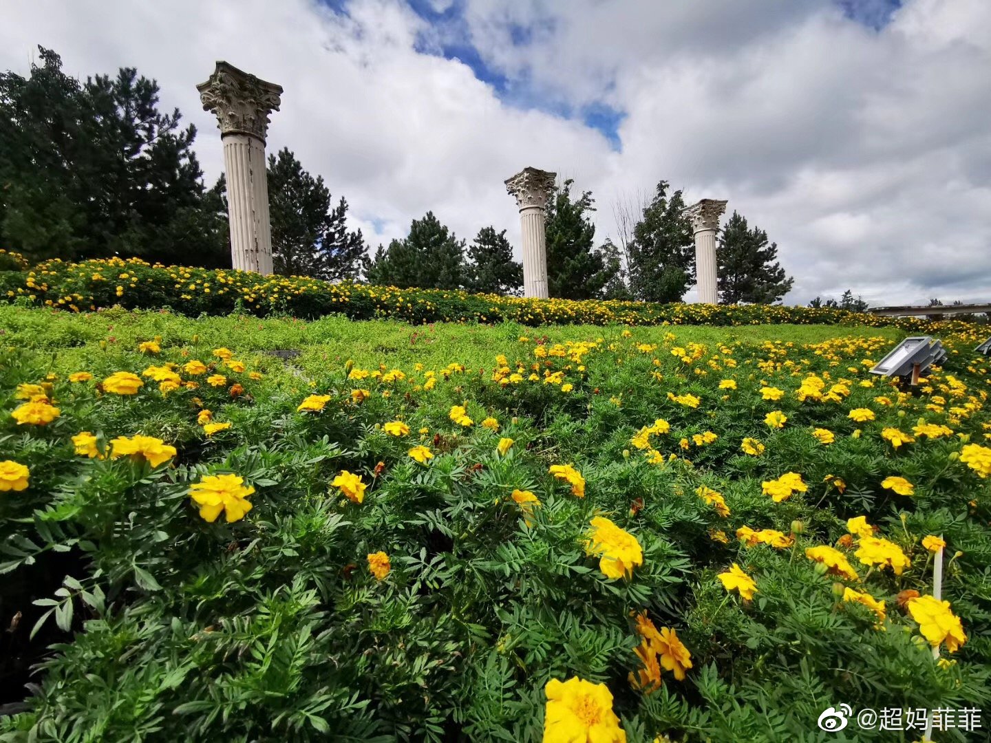 望奎县植物园,国家2a级旅游景区,望奎县植物园,国家2a级旅游景区,集