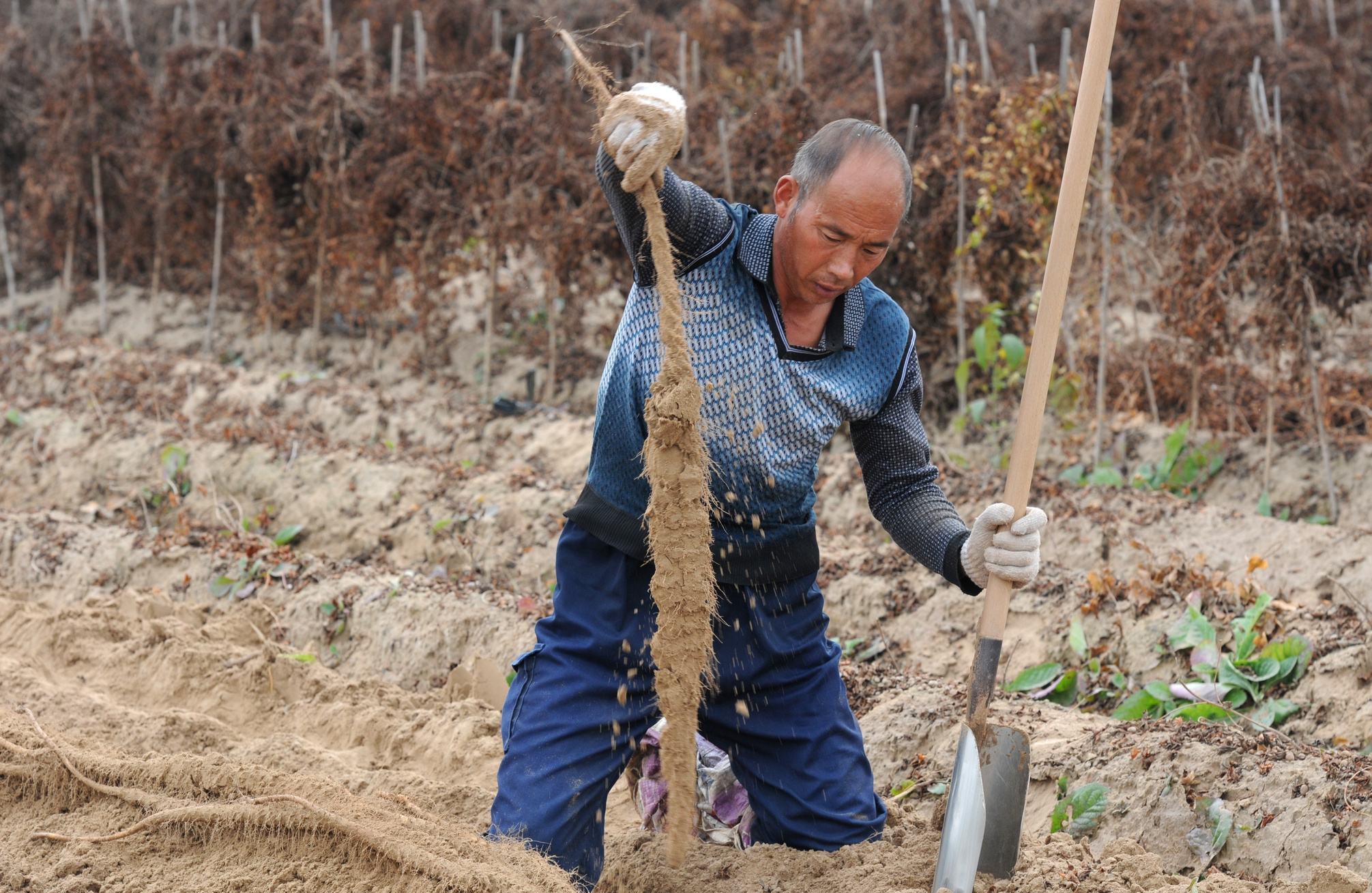农民|专家|打工_新浪新闻