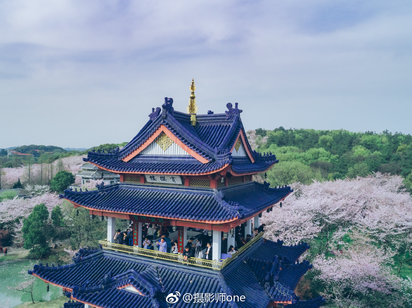 最值得去的春游地方——无锡鼋头渚的樱花,春天最浪漫的风景