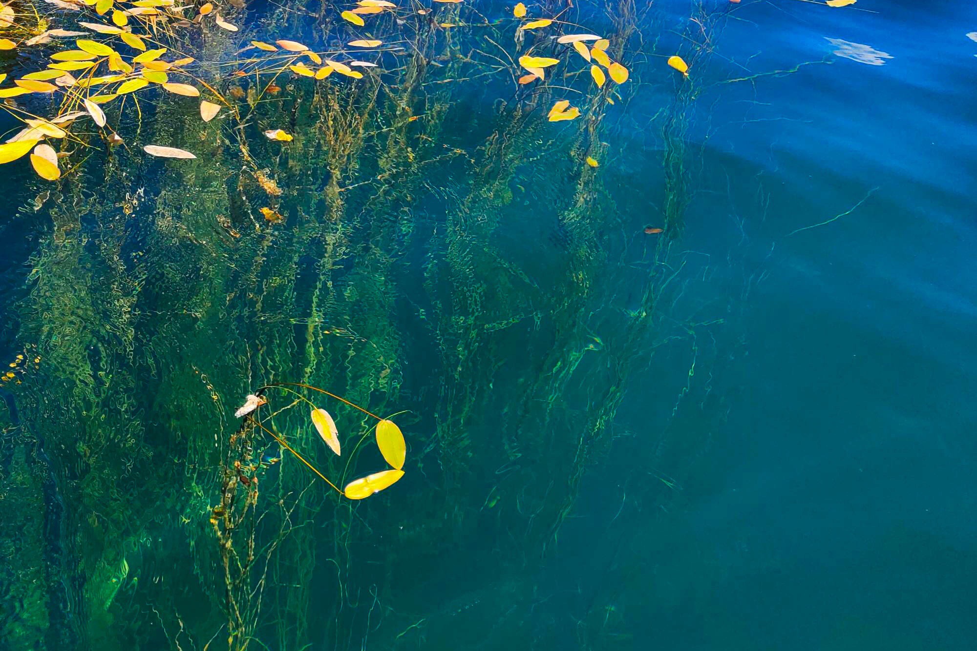 泸沽湖的水质清澈见底,被称为高原明珠.