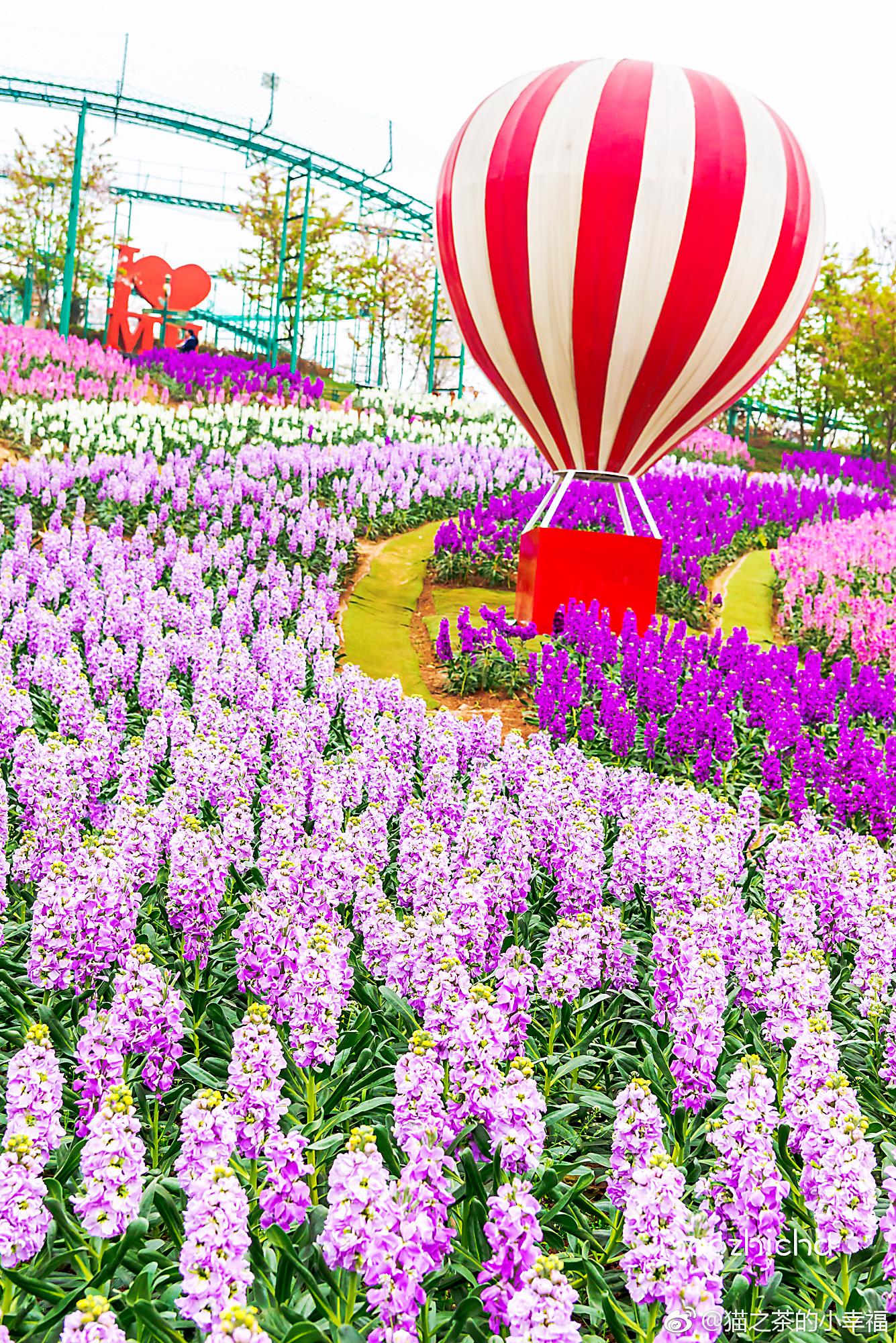 成都市区内首个7d玻璃桥来啦就在新都的漫花庄园内全长228米