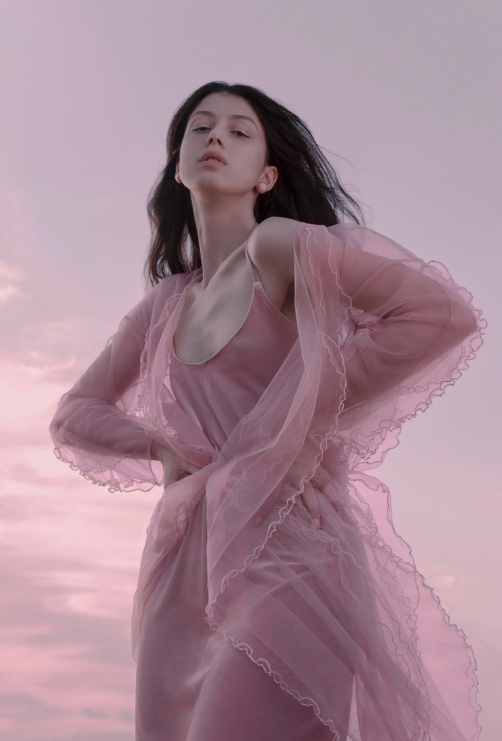 pink | anastasia lisitsyna