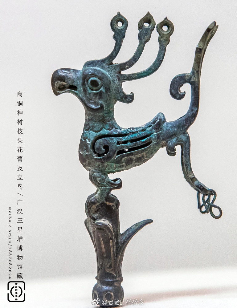 实拍神秘三星堆出土文物