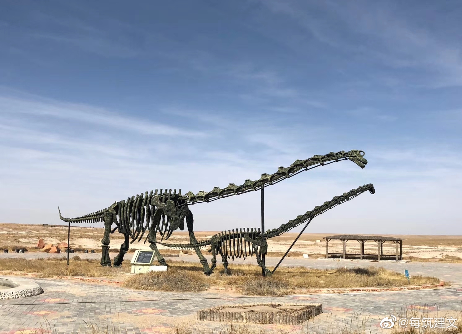 二连浩特恐龙地质公园