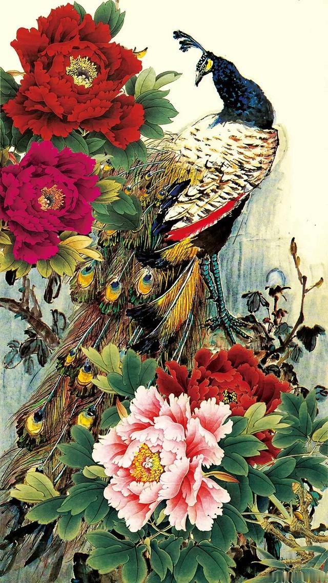 最美的牡丹孔雀壁纸太鲜艳了赶快收藏吧