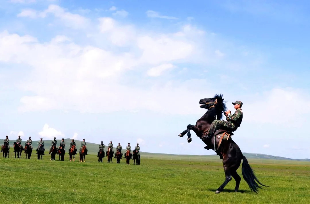 骑兵连来啦邀你一起策马奔腾