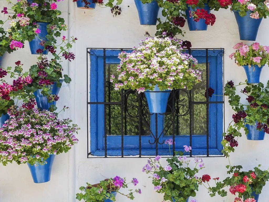 老外一个窗户挂了上百盆花比花园还美