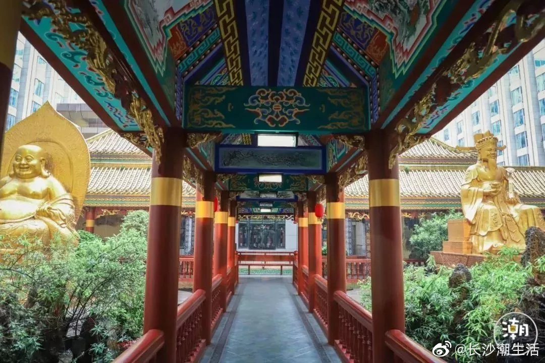 讲真，长沙人必须要逛一次万家丽|万家丽|万家|蜡像馆_新浪新闻