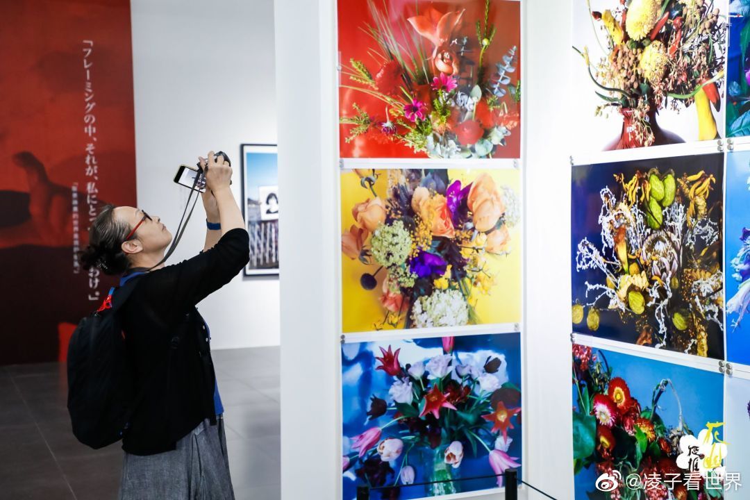 今天在798艺术区参观了日本知名摄影大师荒木经惟花幽摄影展