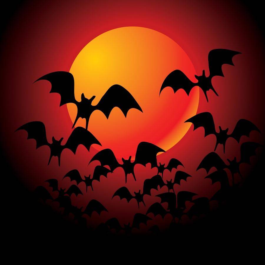 橙色的月亮通常出现在天空何处?