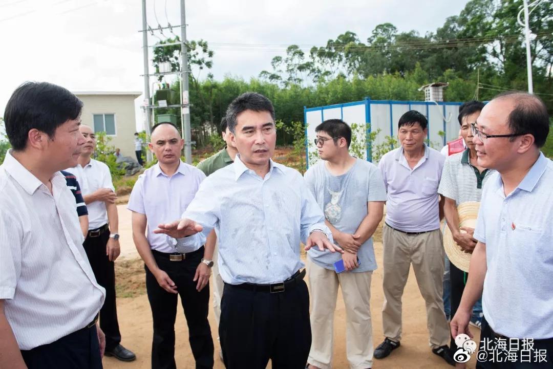 王乃学在北海市银海区福成镇调研督导脱贫攻坚工作时强调