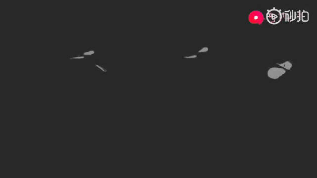 香奈儿与卡伯的爱情故事