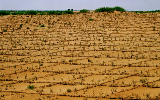 中国治理沙漠的"神器",采用最新的技术,效率是人工的50倍!