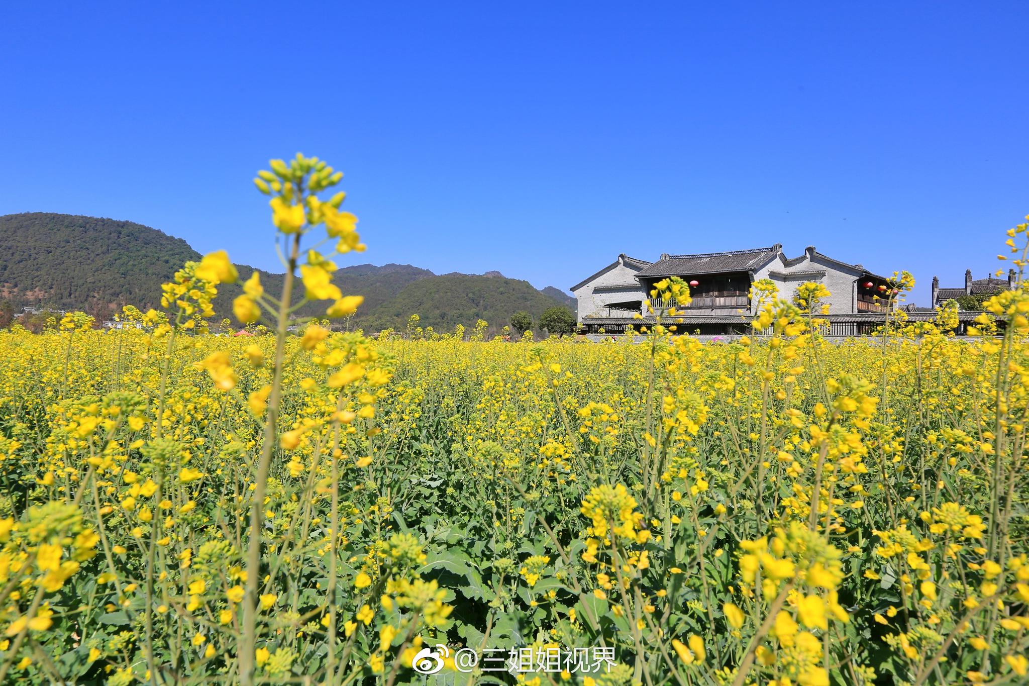 有人说:和顺古镇就像镶砌在茶马古道上一颗玛琅玉石一样|腾冲_新浪新闻