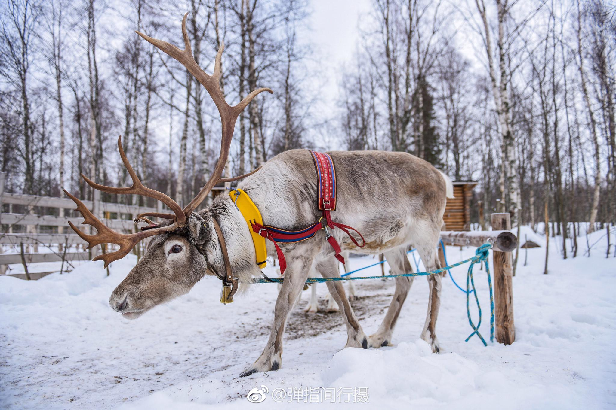 拉普兰芬兰语意为"拉普人的土地",拉普兰人也称为"萨米人"