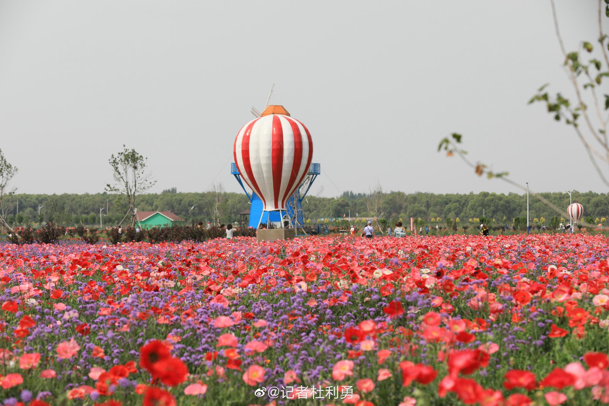 七彩大地旅游景区图片