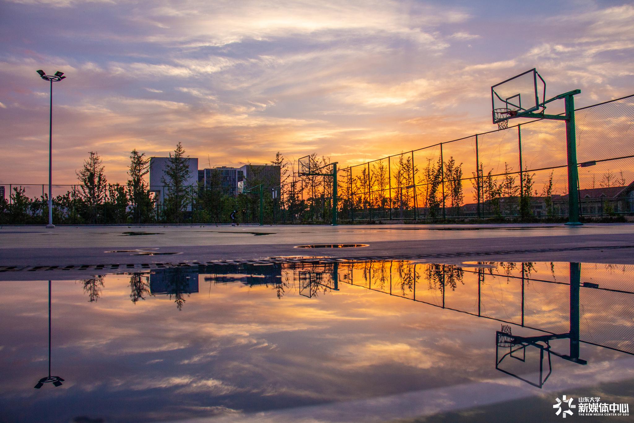 "一抹晚霞飞" |山东大学青岛校区