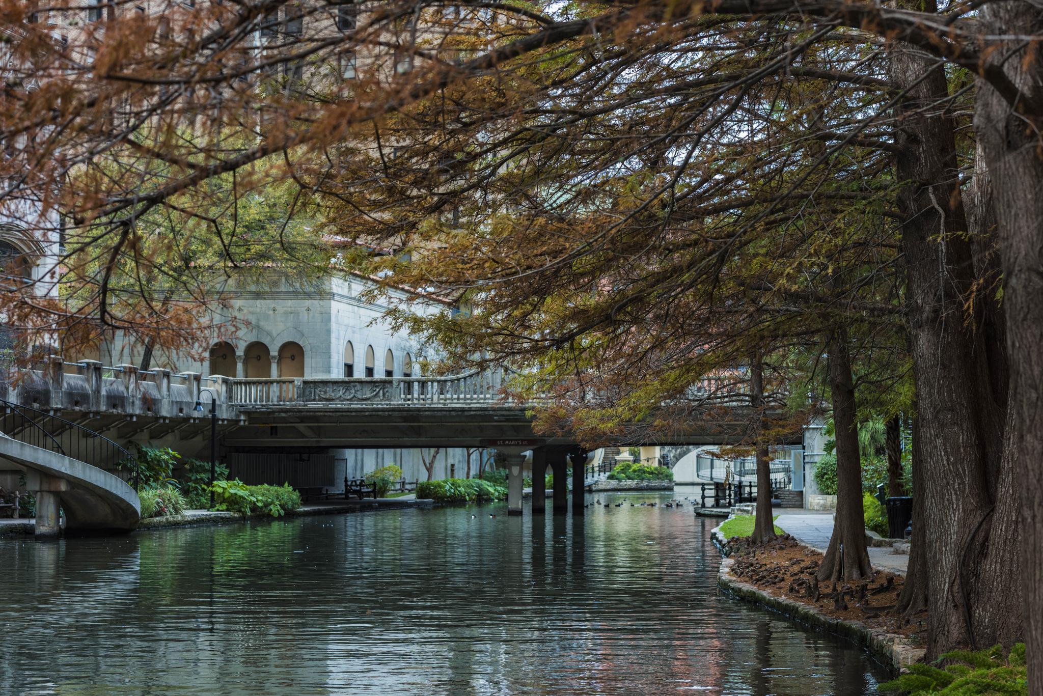 德克萨斯圣安东尼奥最美景点,遍布德州气息的滨河步道