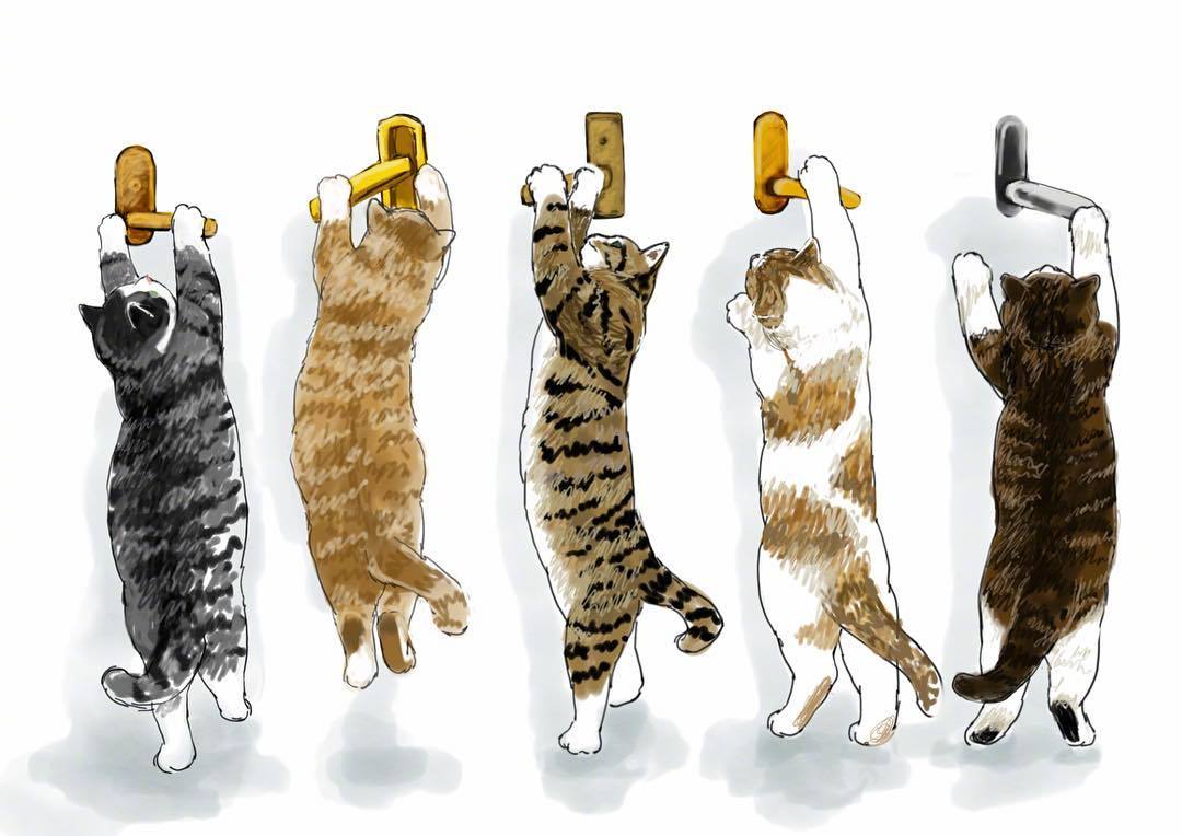 日本插画家mofu_sand是位不折不扣的猫奴,擅长描绘猫咪的液体状态