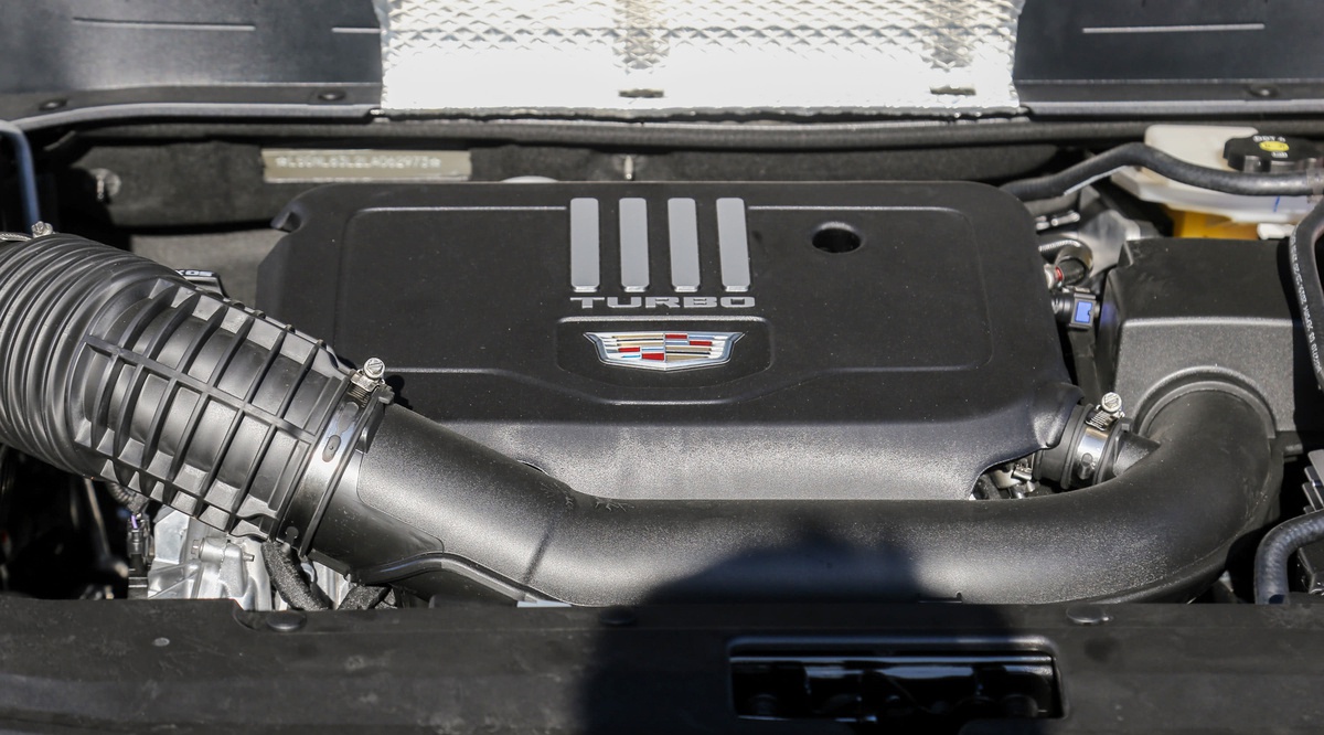 钟意她！2019年「萝卜报告」各位老湿心目中的年度车！