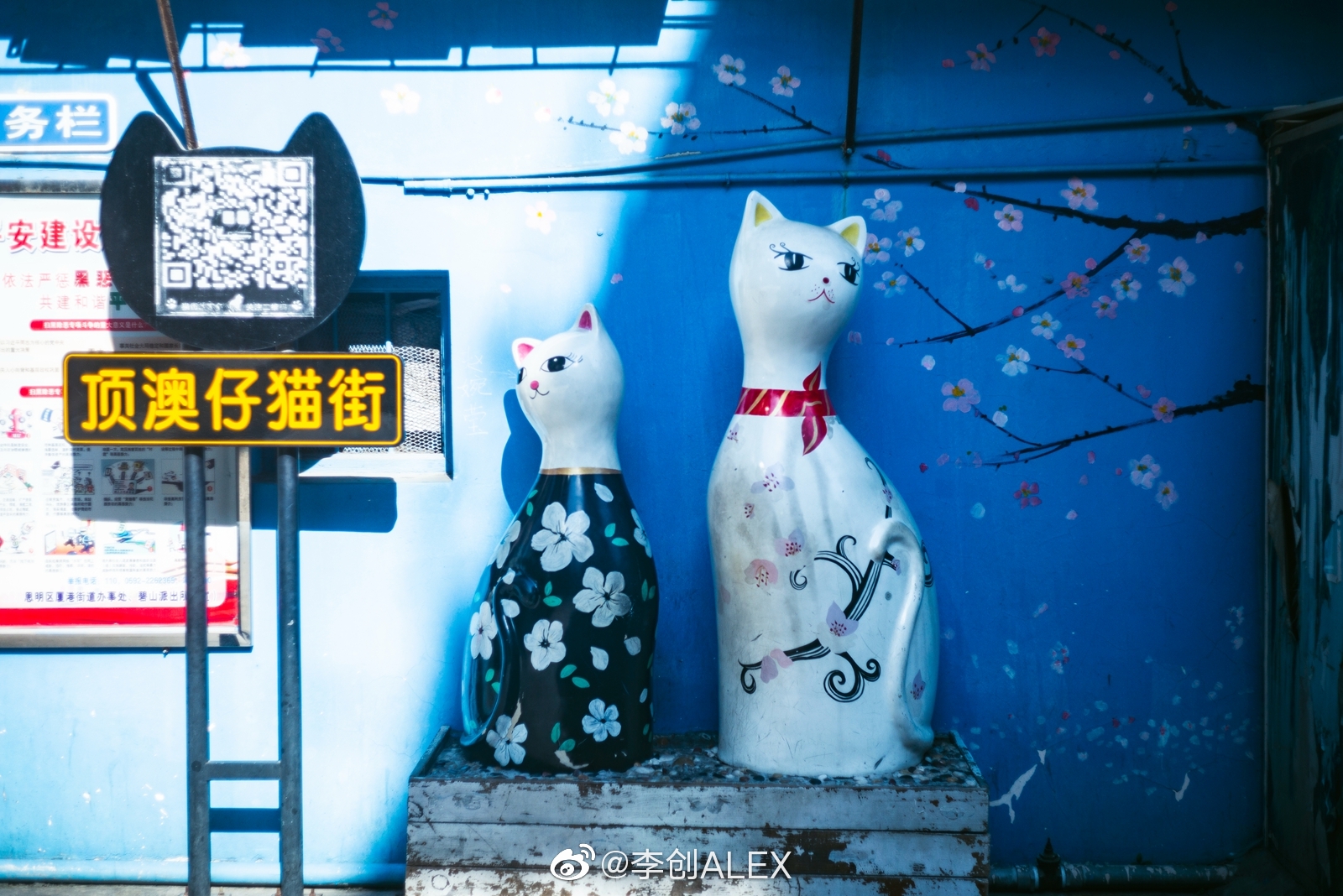 厦门新网红地推荐|顶澳仔猫街🐱|博物馆|猫咪|主题|圣地|上坡路_新浪新闻