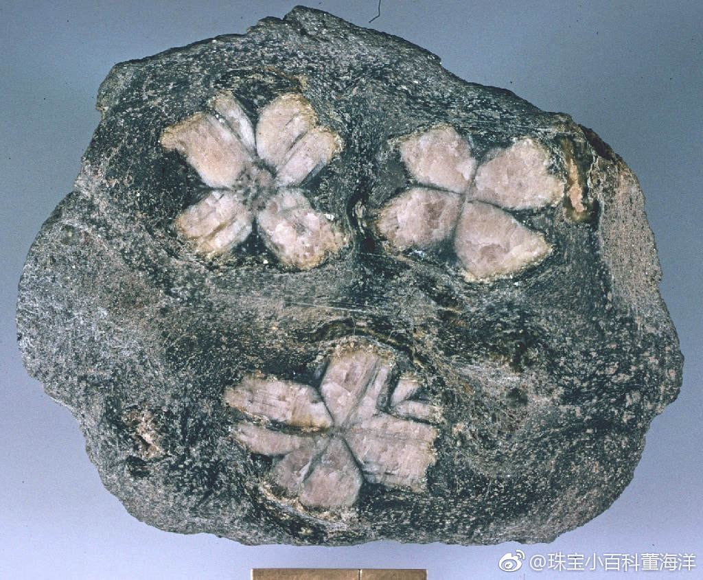 红柱石其英文名称(andalusite)来自矿物的首次发现地——西班牙的安达