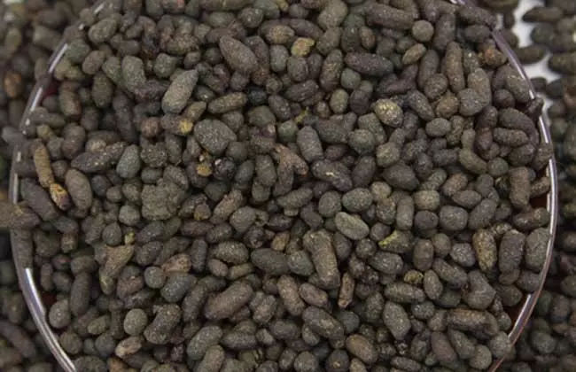 蝙蝠身上有病毒,那夜明砂里有病毒吗?