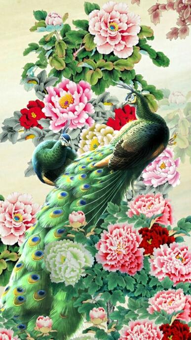 最美的牡丹孔雀壁纸太鲜艳了赶快收藏吧