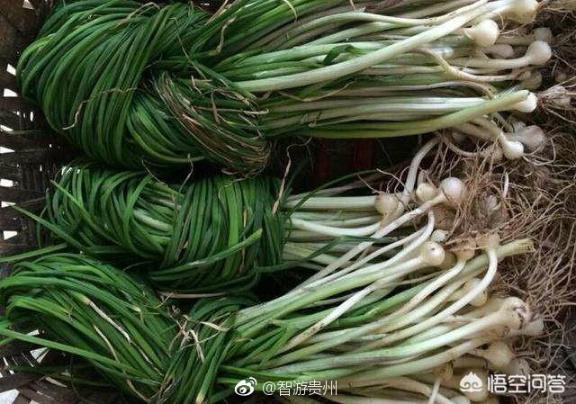 如何建立企业网站 百度优化怎样做