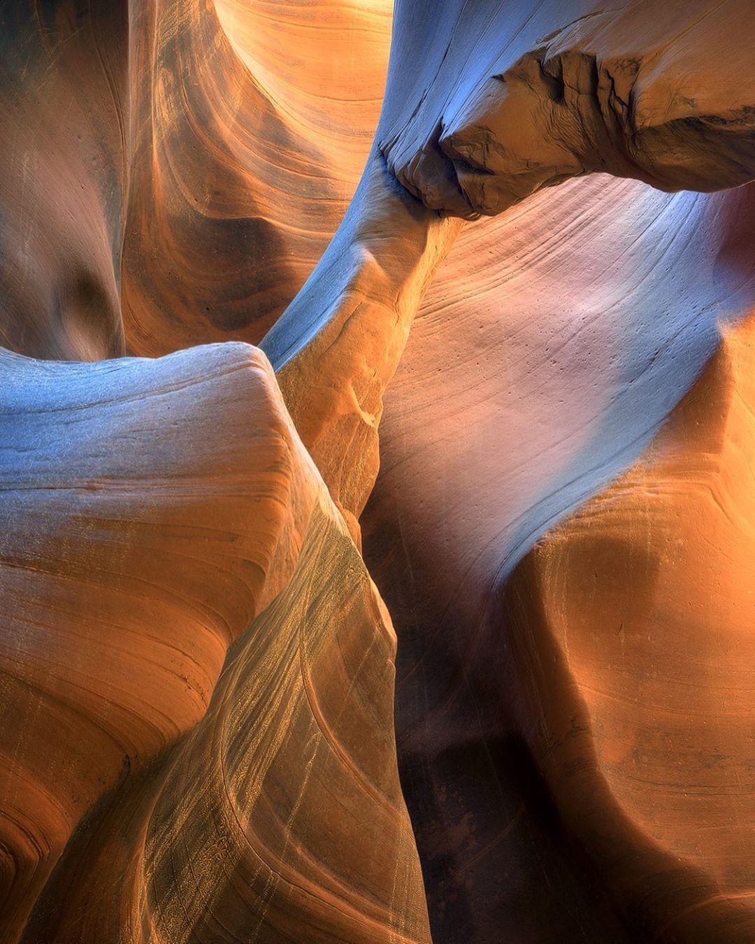 大自然的千万种线条