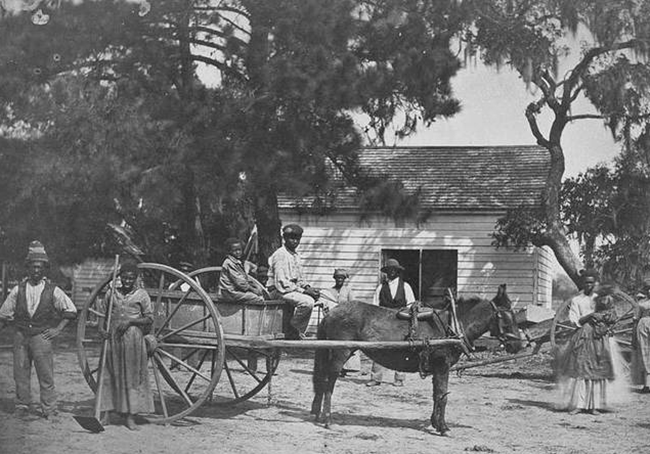 人贩子运送黑奴时,为何不论男女都要扒得精光?原因诠释人性黑暗