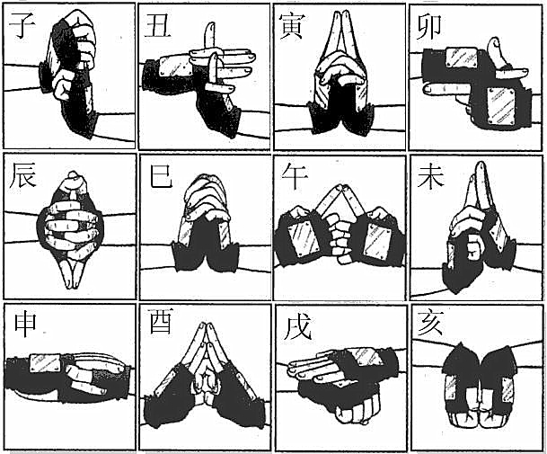 火影忍者 十二大忍术结印手势 影分身之术的印式为何这么简单  表情