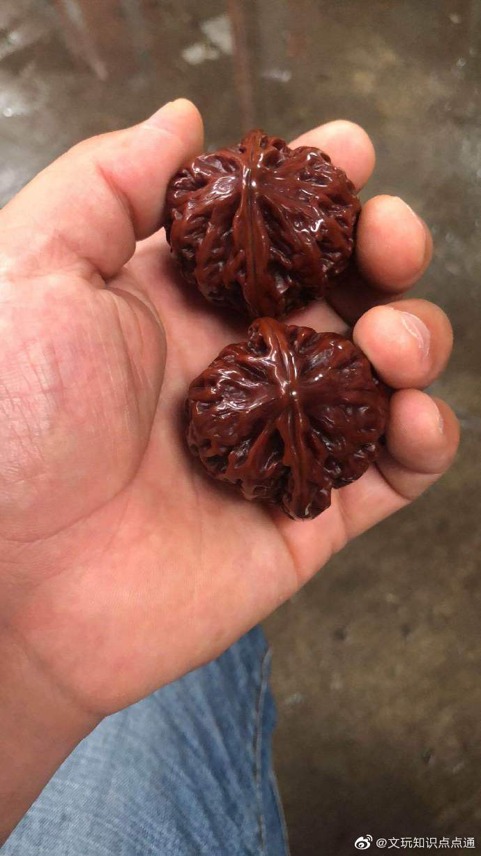 一哥们捡到核桃,失主为表示感谢要给他5000,因为这核桃贝勒爷也盘过