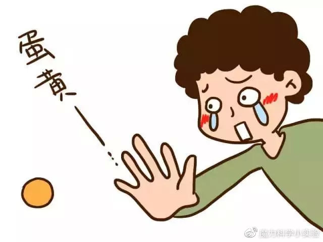 魔力科学小实验吃鸡蛋你还在扔蛋黄看完这个实验再也不敢了