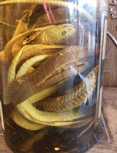 羊头|猴脑|毛蛋_新浪新闻