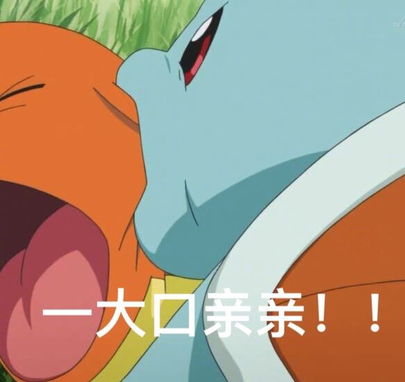 憨八龟名副其实