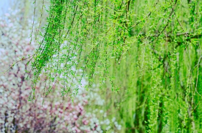 山泉两处晚花柳一园春还持千日醉共作百年人