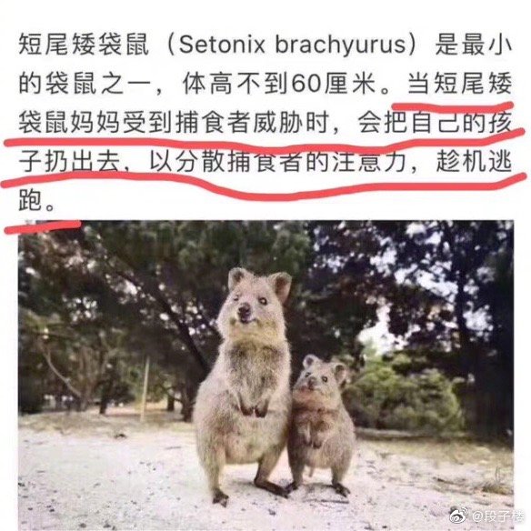 公交上小姐姐,害我又坐过站了 轻松一刻 第52张 公交上小姐姐,害我又坐过站了 轻松一刻 第52张