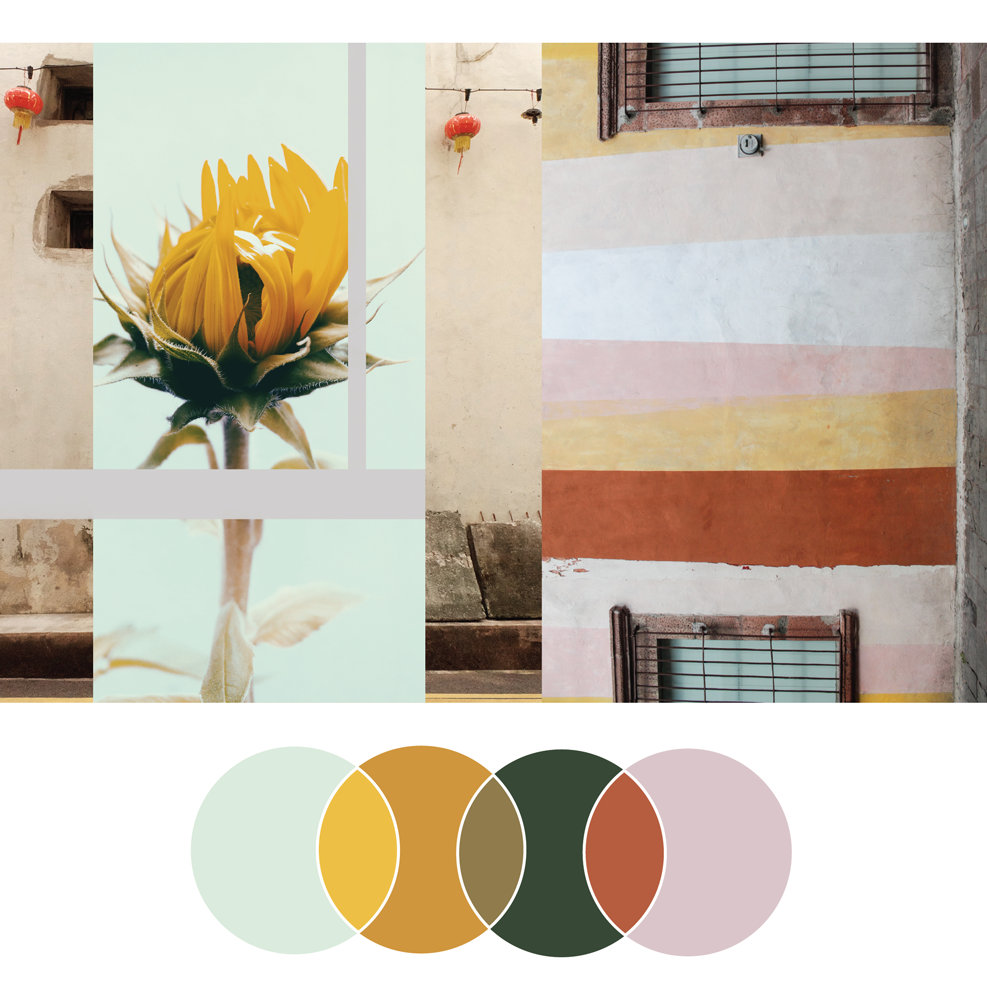 漂亮的色彩搭配微博美学