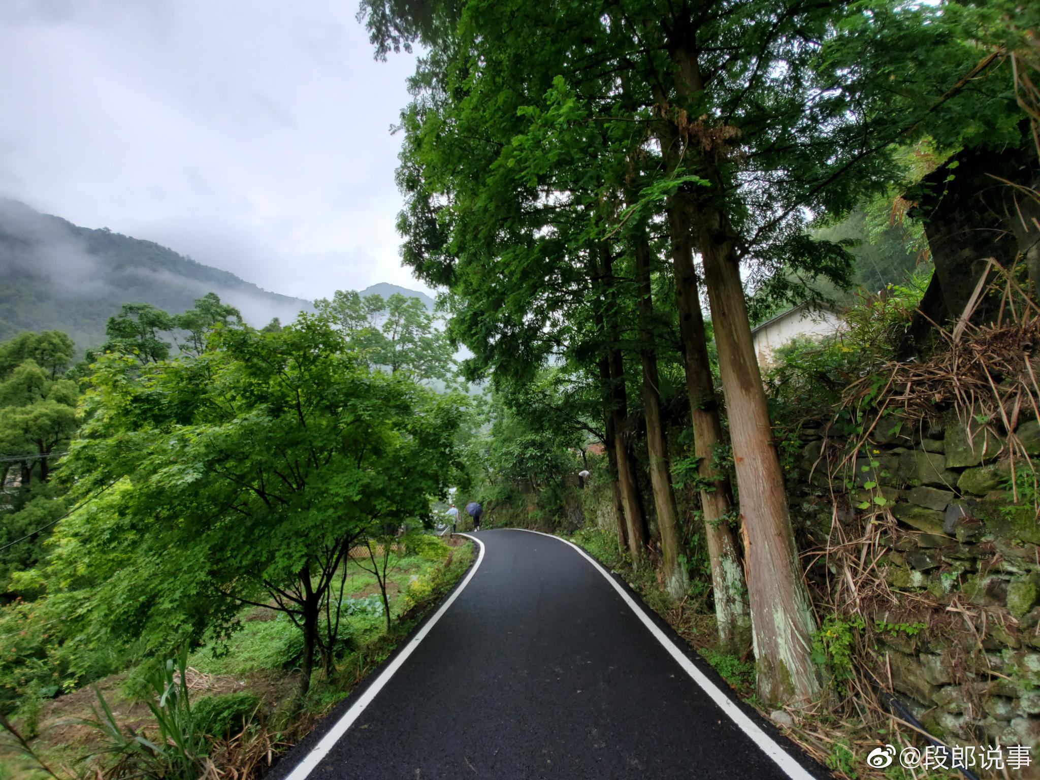 江西九江廬山雲霧茶是漢族傳統名茶