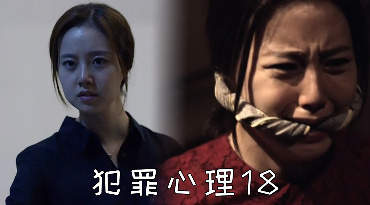 韩剧《犯罪心理》:为破连环性侵案,女刑警舍身犯险!